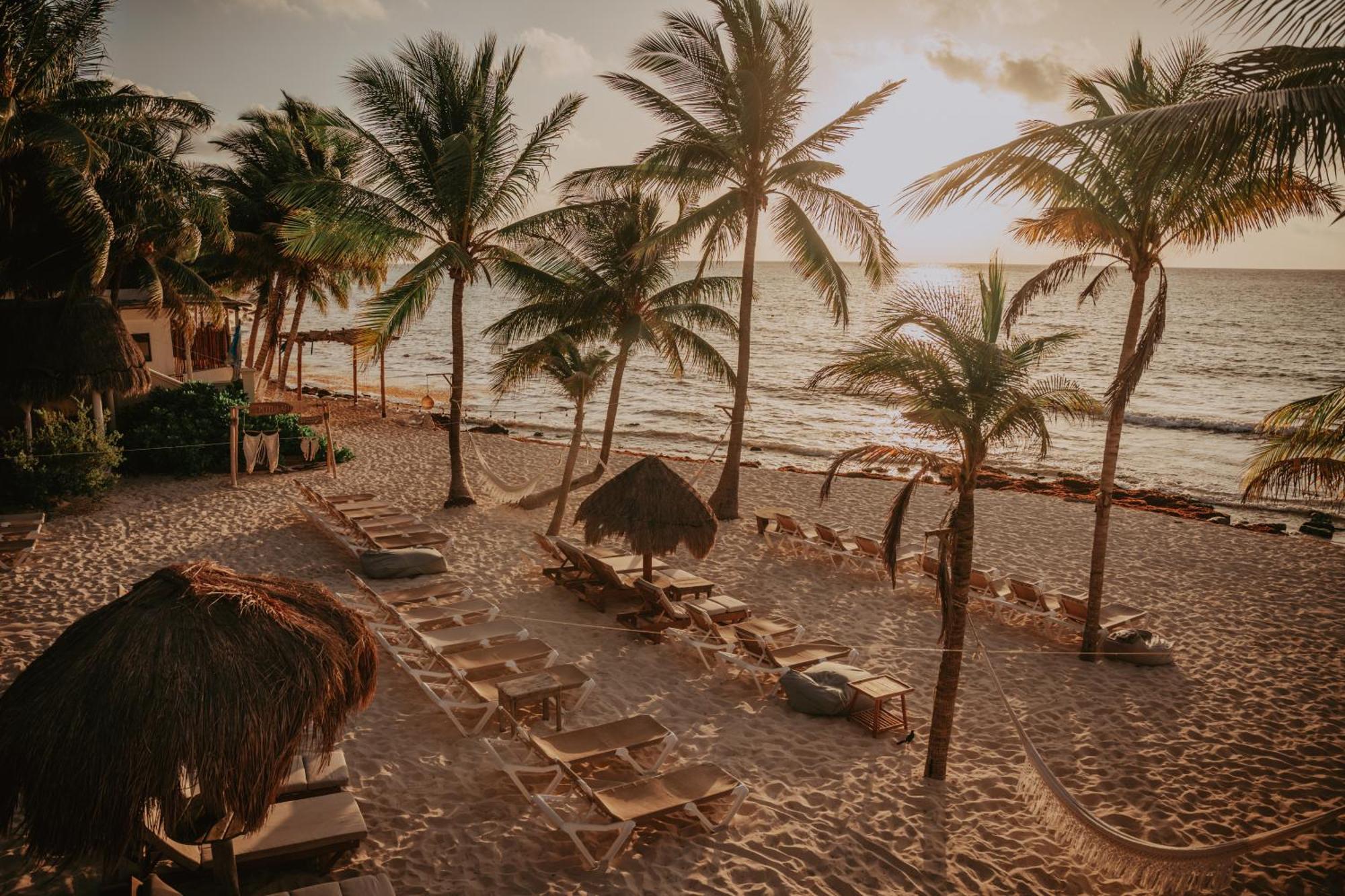 Petit Lafitte Beach Front Hotel & Bungalows Playa del Carmen Ngoại thất bức ảnh